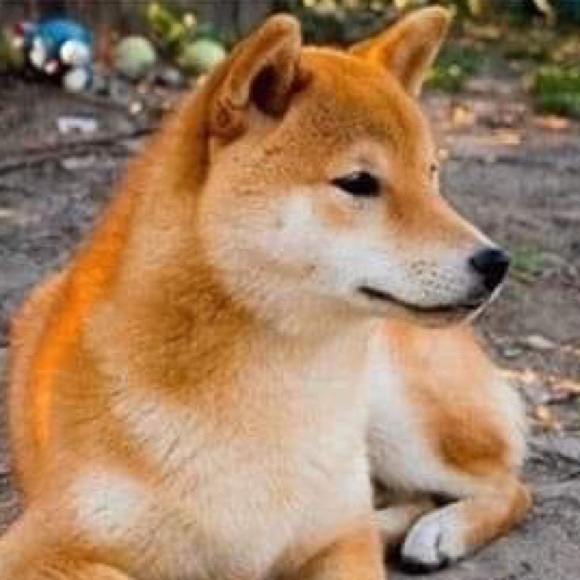 Meet your Posher, D - Picture 1 of 1